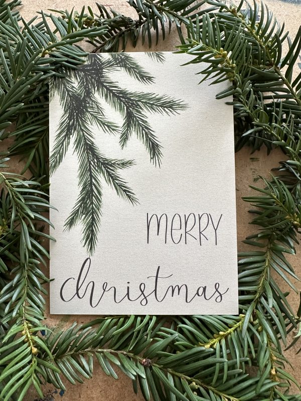 Weihnachtskarte - Tannenzweige